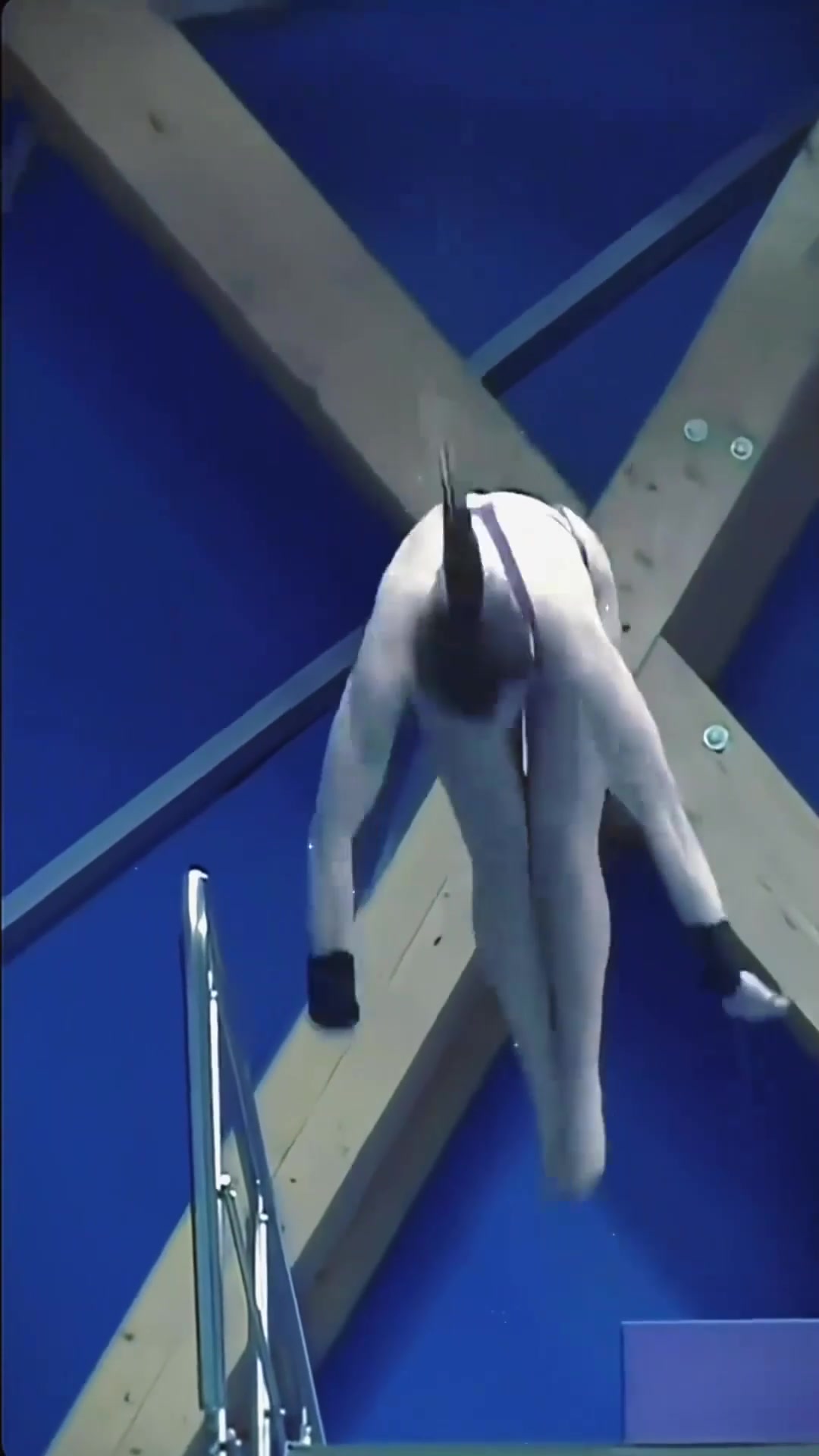 跳水比赛纷呈精彩，优异表现获好评的简单介绍