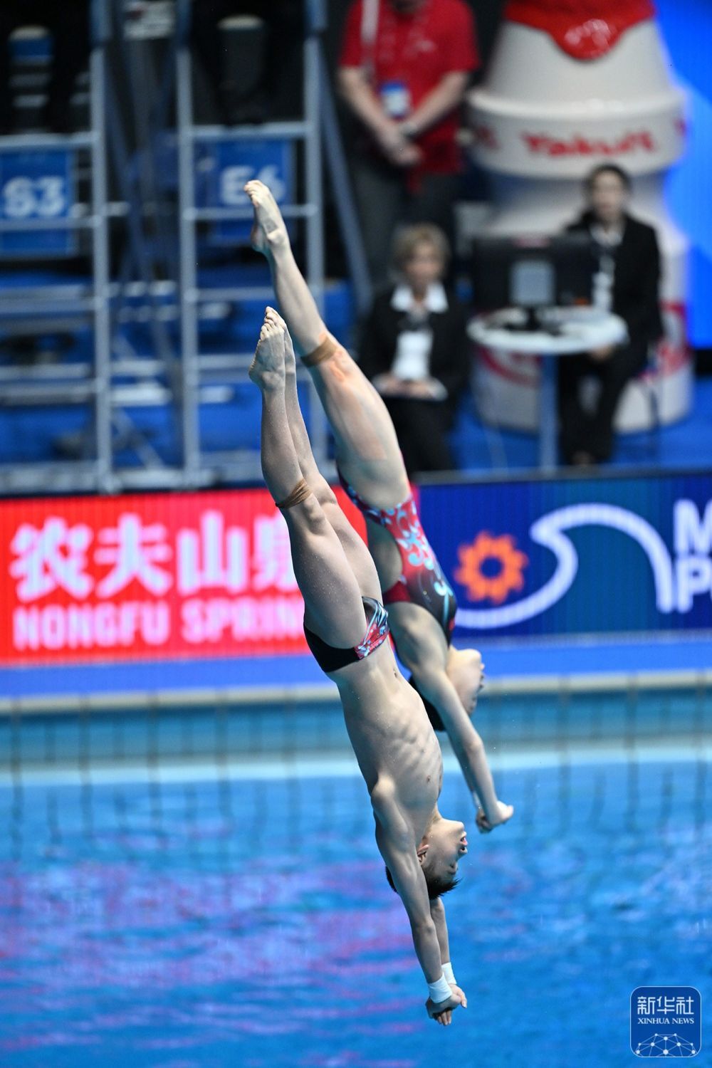 跳水比赛纷呈精彩，优异表现获好评的简单介绍