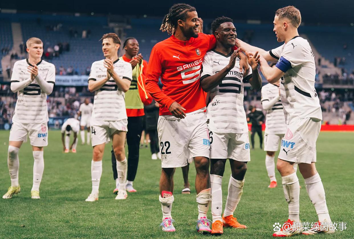 南特主场力克尼斯，逼近法甲前四的简单介绍