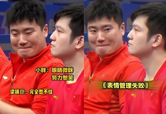 日本乒乓球队爆冷波兰乒乓球队，许昕制霸全场的简单介绍