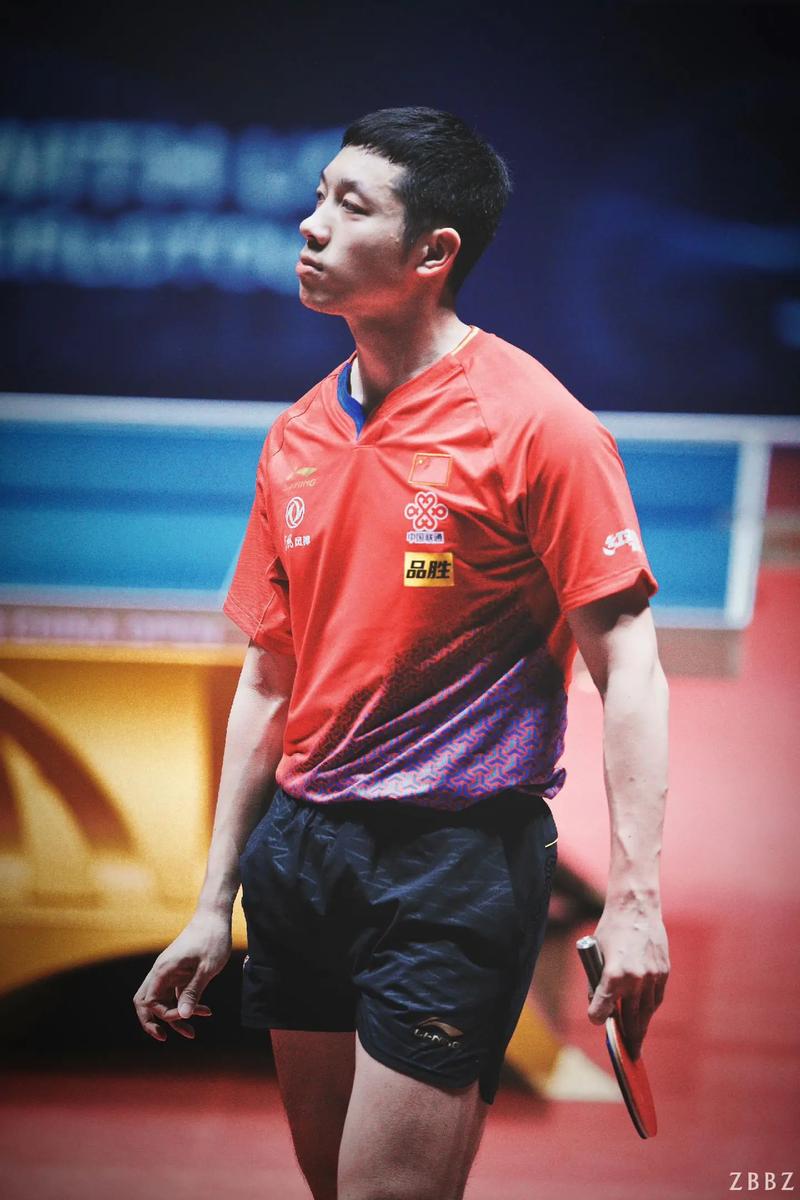 关于波兰乒乓球队强势德国乒乓球队，许昕高光表现的信息