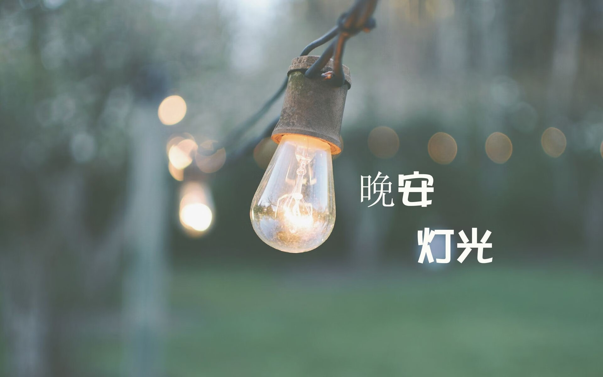 德甲争冠战焦点战，勒沃库森战术压制里昂，展现欧洲新王风范