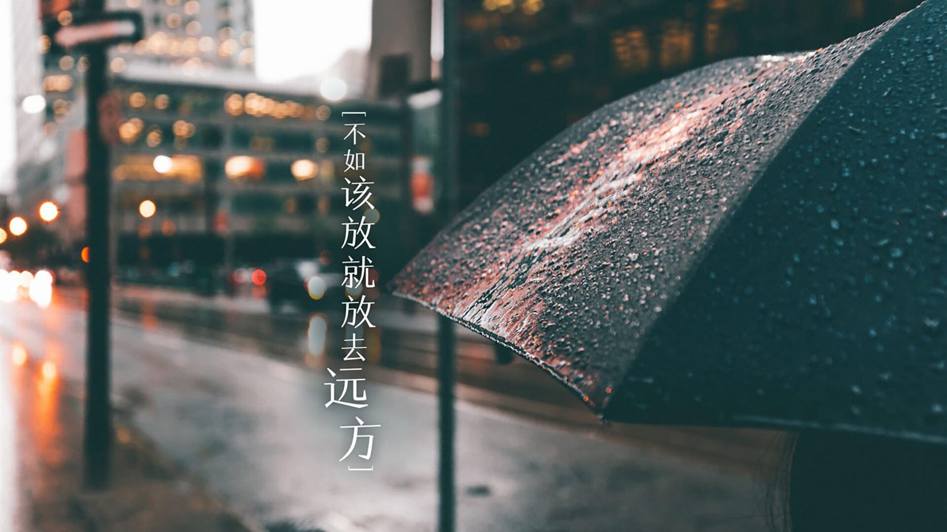 法老之矛与银蕨之盾，伊布连续得分拉开差距，埃及力克新西兰