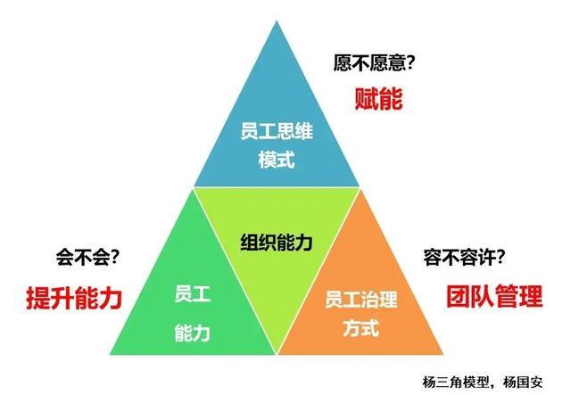 打造精英篮球团队的关键因素