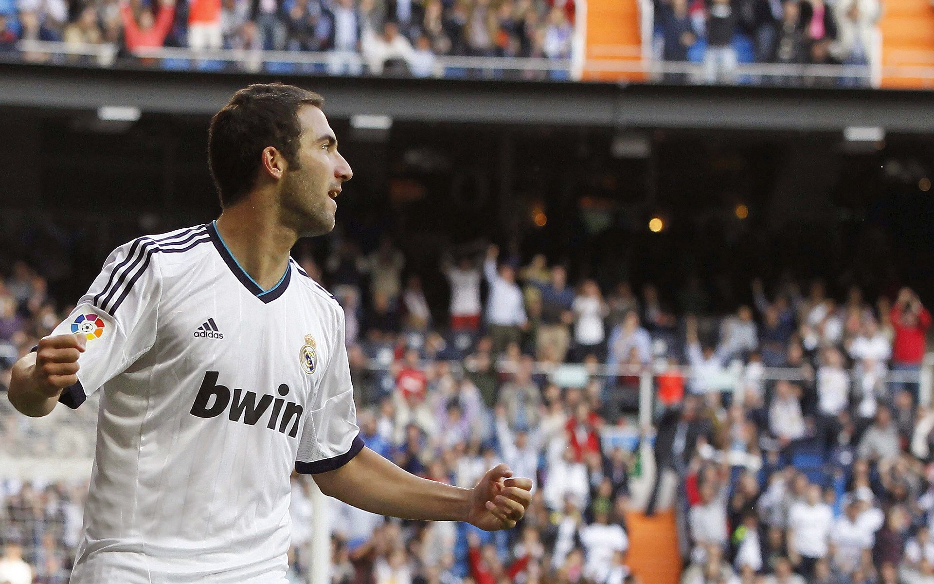 纽约的救赎之夜,范弗利特在麦迪逊广场花园的自我证明