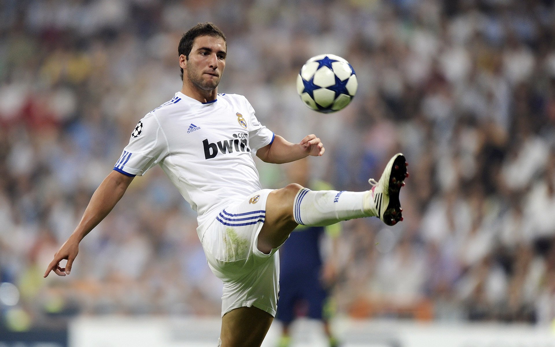 当岭南雄狮遇上绿衫军，广东力克凯尔特人，范弗利特刷新纪录之夜