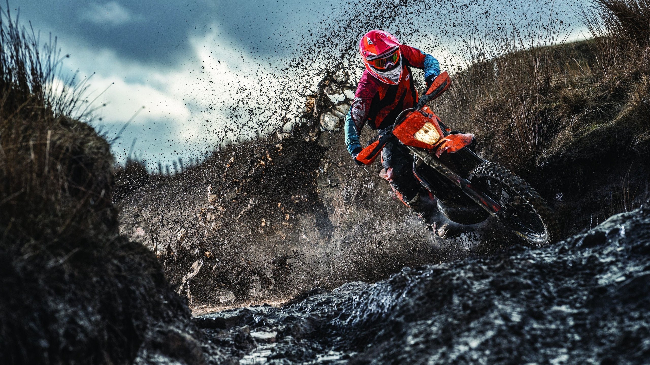 双城记，多特蒙德绝境淬火，克瓦拉茨赫利亚亚平宁封神